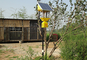 家禽養殖場使用太陽能殺蟲燈圖片