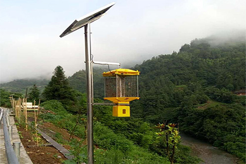 不銹鋼高燈桿太陽能殺蟲燈高3米