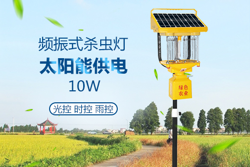 太陽能電擊式殺蟲燈免維護蓄電池圖片